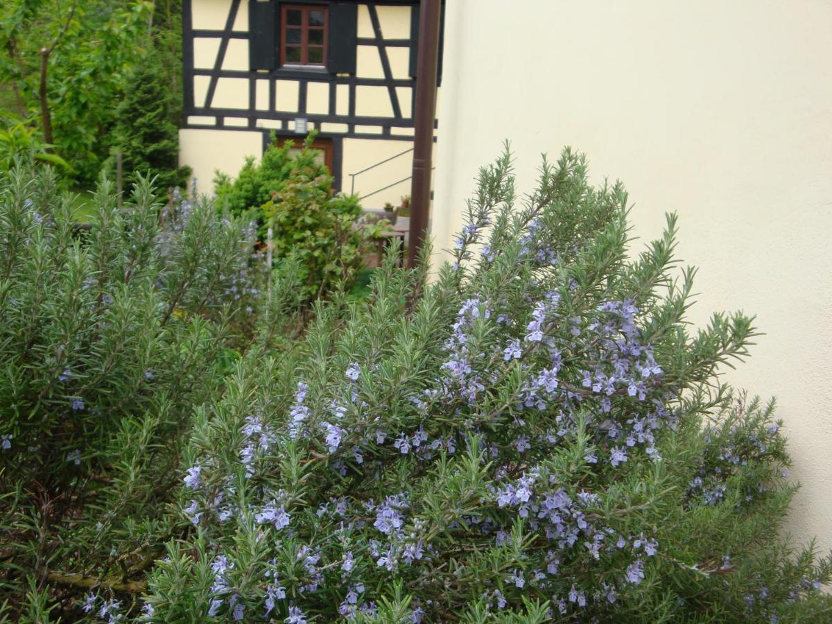 Maison De Vacances Alsace - Ferienhaus Elsass - Holiday House Alsace Villa Bischwiller Exterior photo